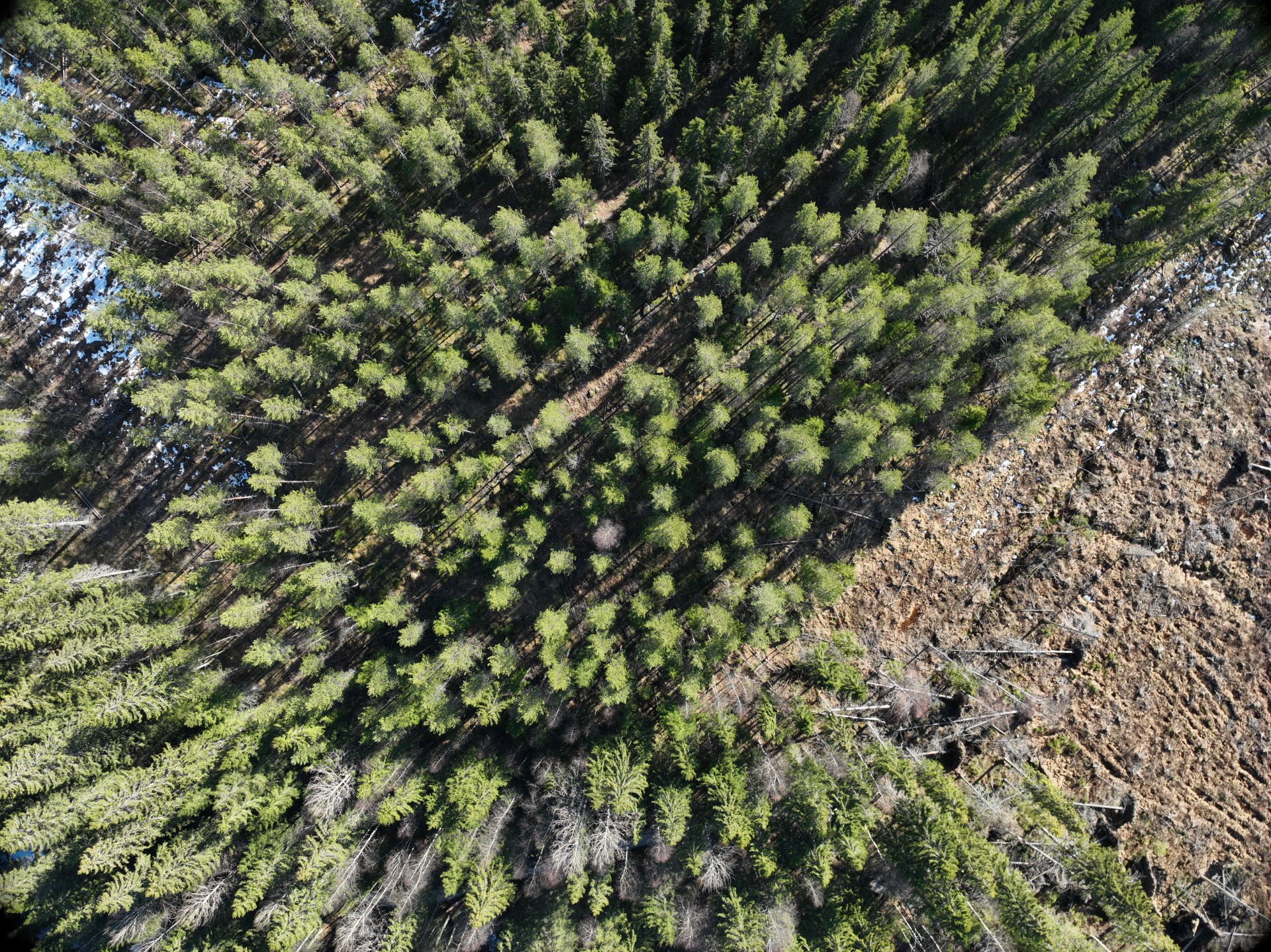 Dronella kuvattu ilmakuva